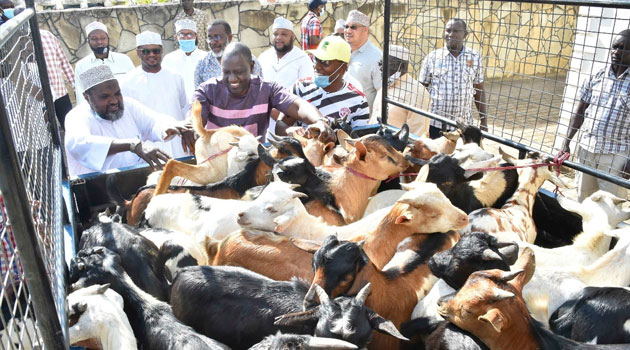 Muslims celebrate Eid al-Adha to mark end of Hajj