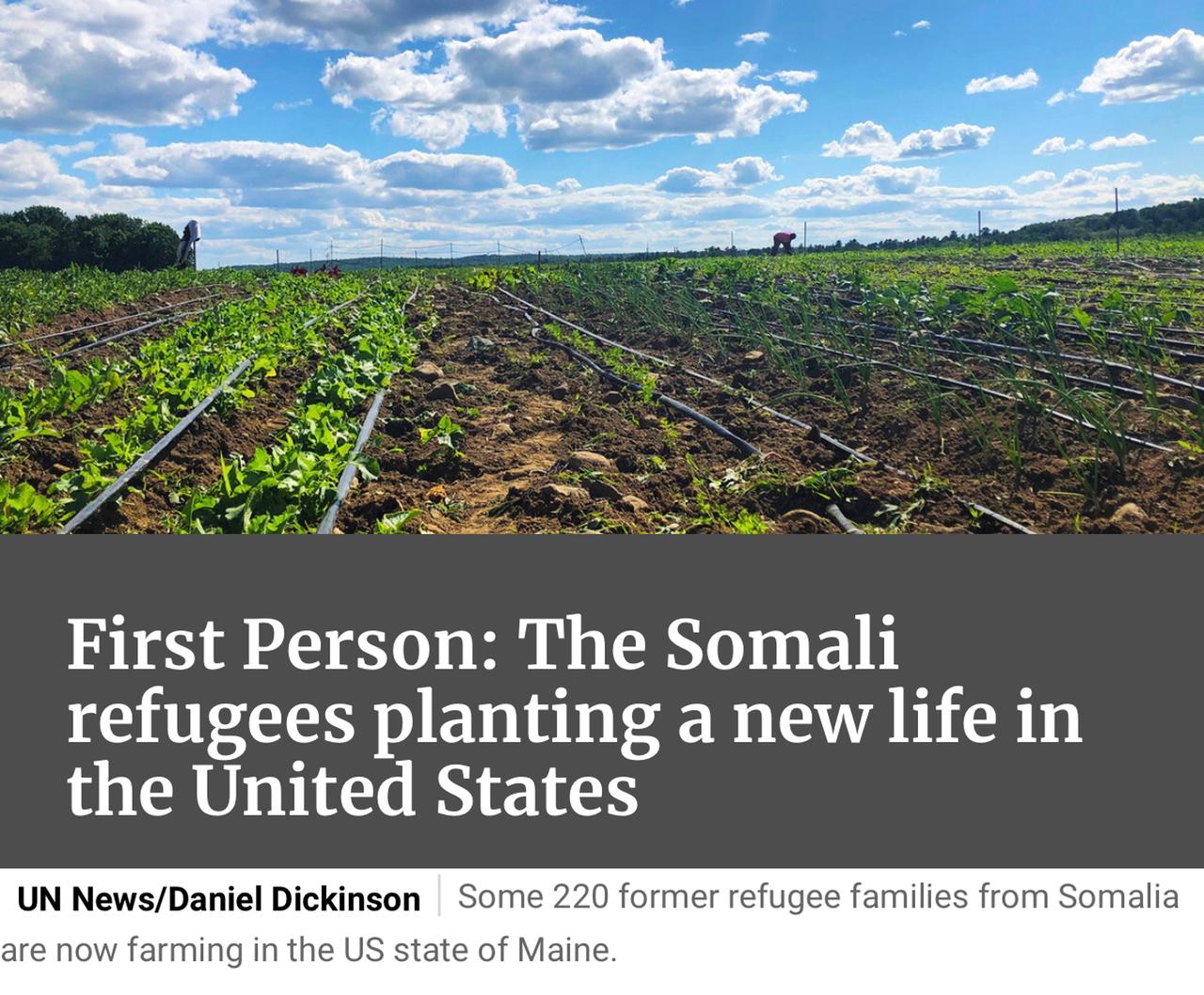 The Somali refugees planting a new life in the United States