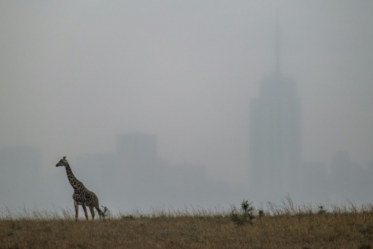 Wildlife taskforce proposes critical actions on migration corridors between the Nairobi Park, Athi Kapiti plains