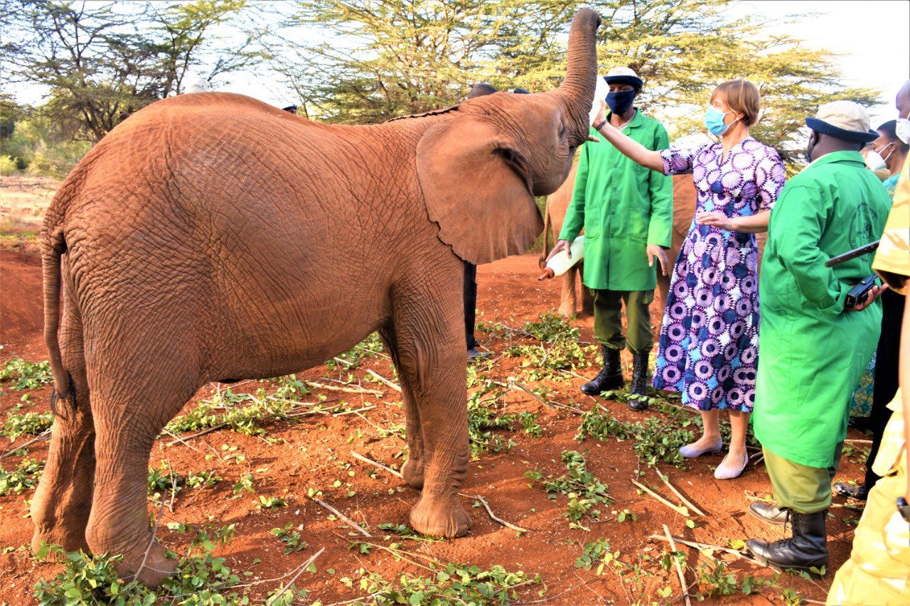 Balala urges Kenyans to join hands in wildlife conservation