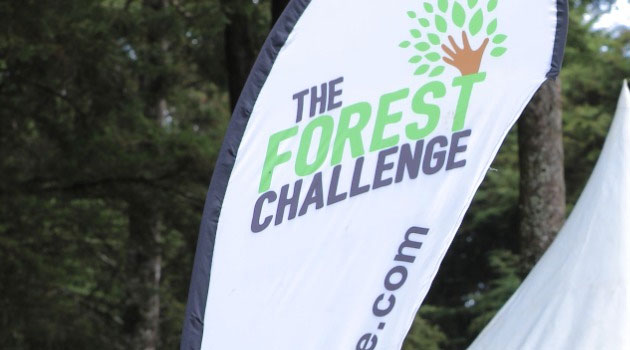 Foresters in Homa Bay urge renewed efforts to regreen as forest cover falls to 2pc