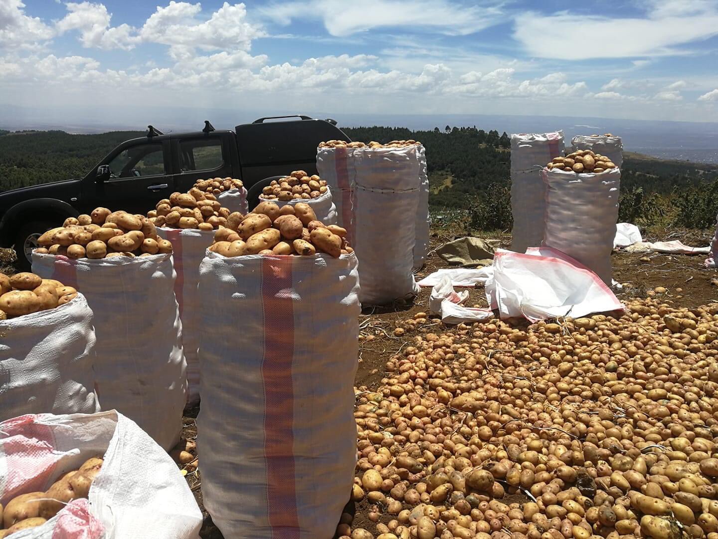 Kenya must work with multinationals on quality to attract them to local produce