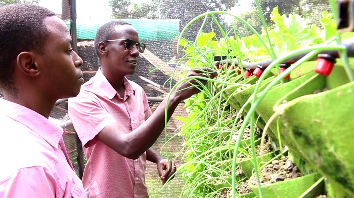 Youths promote vertical gardening in Urban Centers to enhance food security