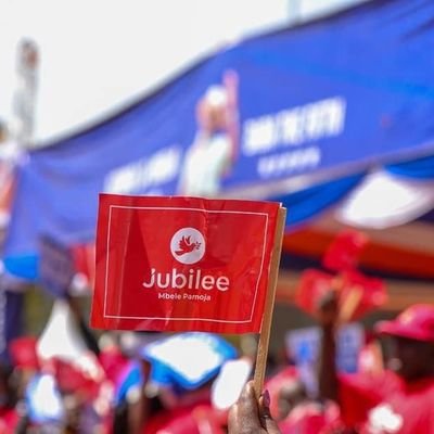 Jubilee rejects Ann Ngirita’s application to vie until cleared by EACC