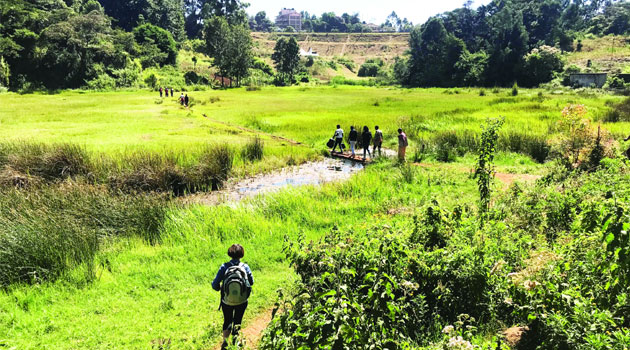 NEMA says plans gazette Ondiri Wetland at an advanced stage