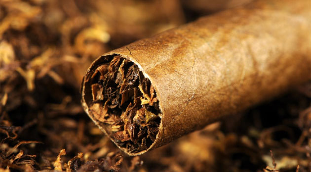 Tobacco Control Alliance urges measures to curb use of harmful nicotine substances