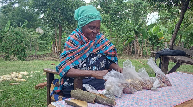Herbal plants face extinction in Nandi due to destruction of indigenous trees