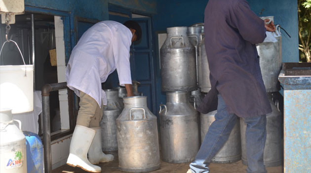 AI transforms dairy farming in Taita Taveta