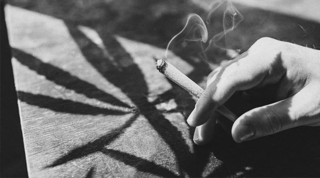 Cambodian court gives harsh sentences to two British men for cannabis trafficking