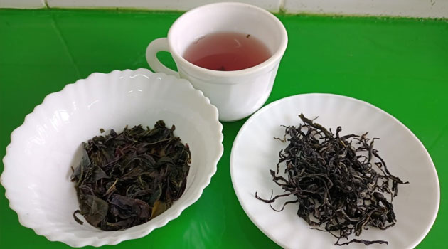 Youth urged to grow herbs as the demand for herbal teas increases