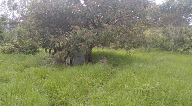 Kajiado residents live in fear amid leopard sightings
