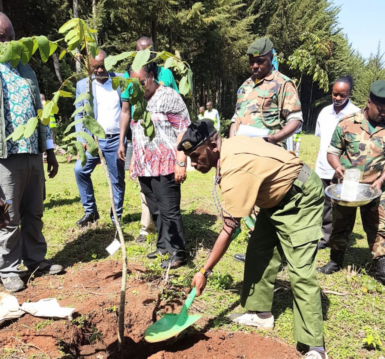 Uasin Gishu county rolls out afruitation project in schools 