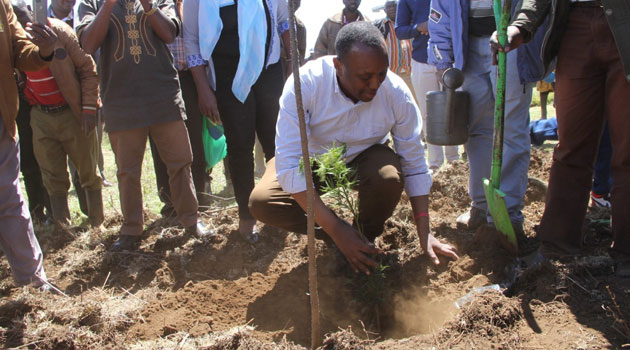 Meru residents urged to plant trees, restore forests