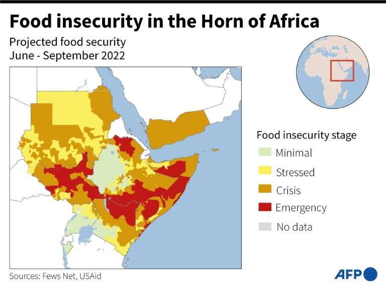 1 million people experiencing food insecurity in Kenya: authorities