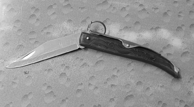 Father fatally stabs 25-year-old daughter in fight over solar lamp