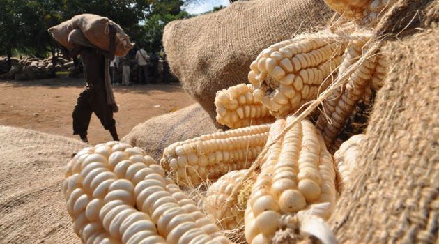 Govt to import one million bags of maize amid expected deficit