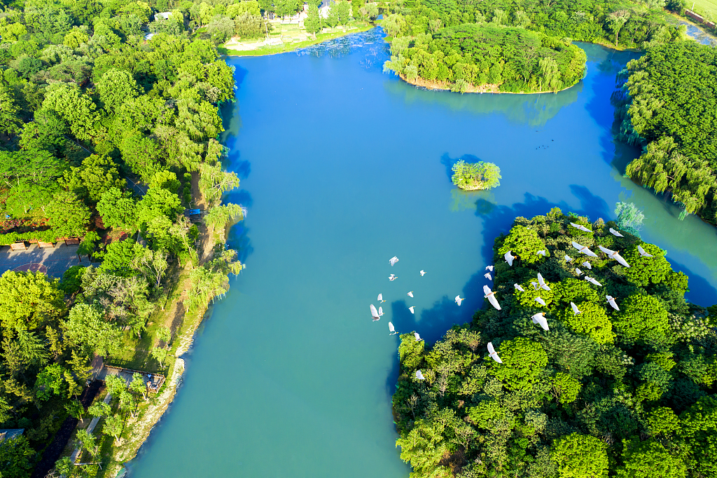 China to add more wetlands by 2025