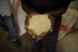 KEBS flags 2,000-tonne rice consignment for failing aflatoxin test
