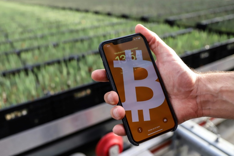Industry, Govt urged to align on Bitcoin