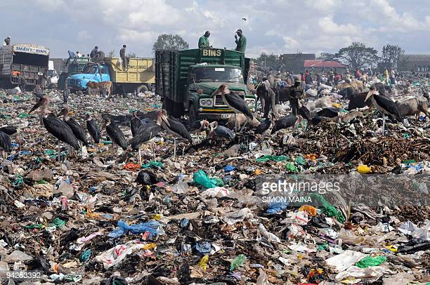 Sakaja revives plan to set up Dandora recycling plant