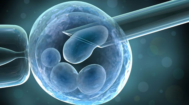 University girls tap into egg donation for cash amid growing uptake of IVF