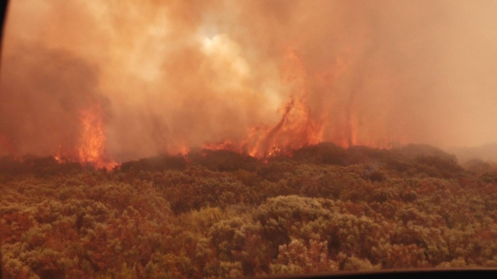 2 Kenya Forest Service officers die enroute to battle raging Aberdare forest inferno