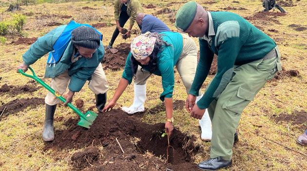 Prisons target 10mn trees in decongestion drive to see petty offenders freed