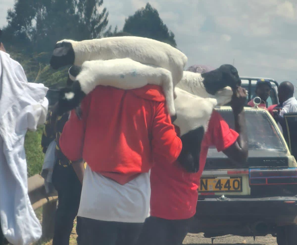 MCK condemns attacks on journalists covering Kenyatta land invasion by armed goons