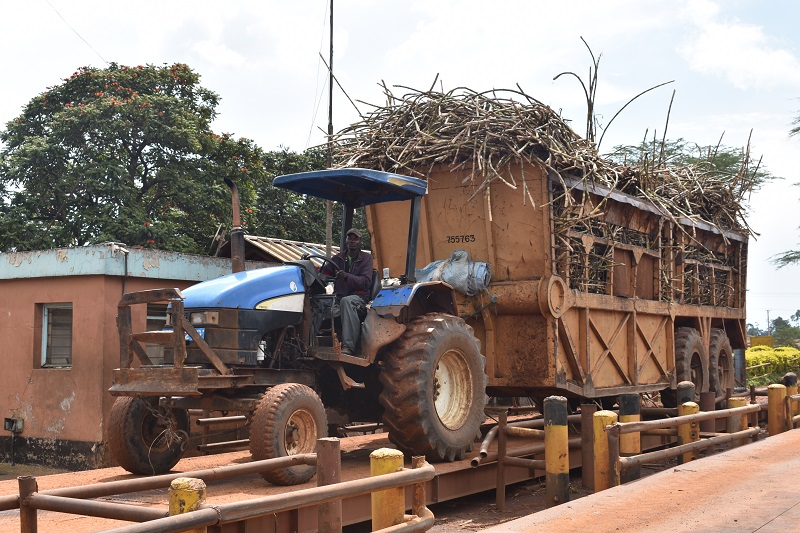 Sugar Act stuck in court as Senators petition CJ Koome for action