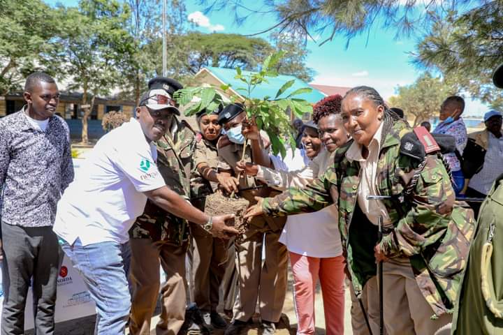 Machakos residents, Corporates plant trees in commemoration of world environment day