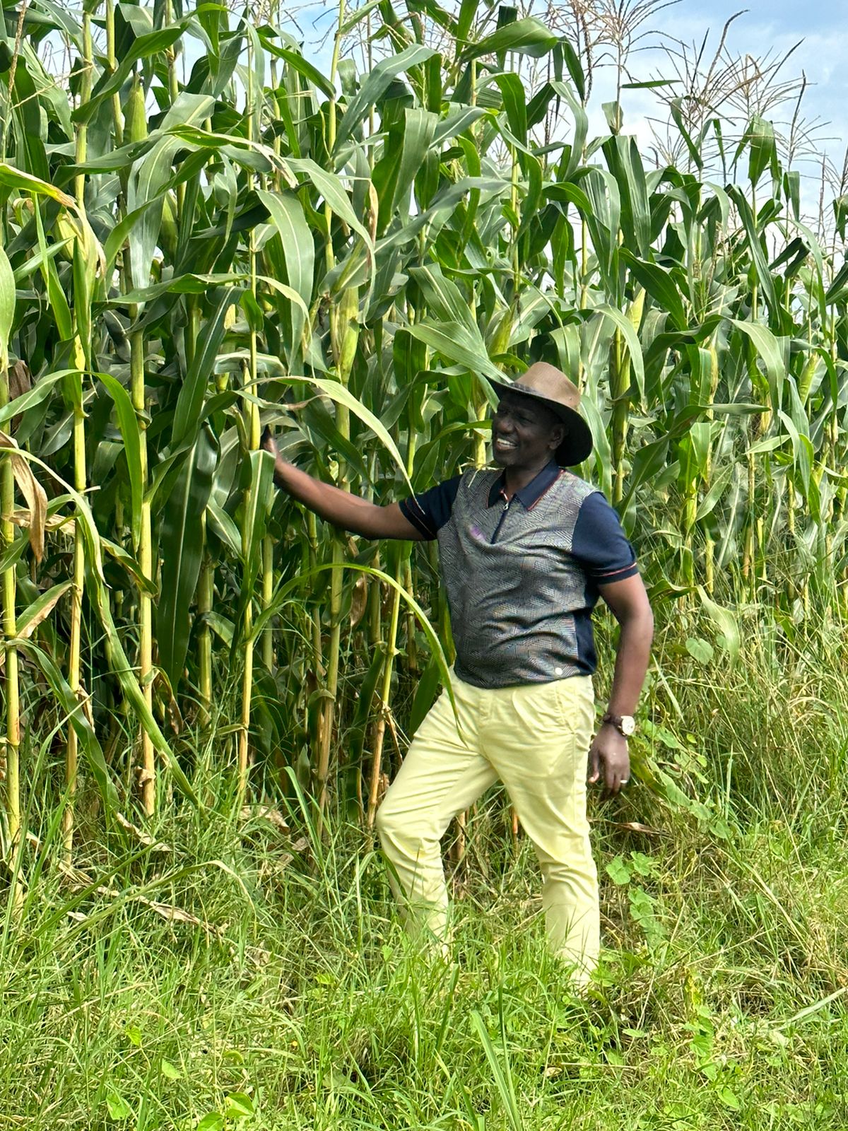 Ruto Unveils Measures to Protect Food Security Amid Below-Average Rainfall