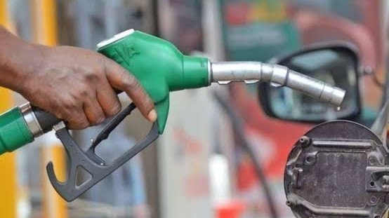 OPEC lowers oil demand growth forecasts for 2026