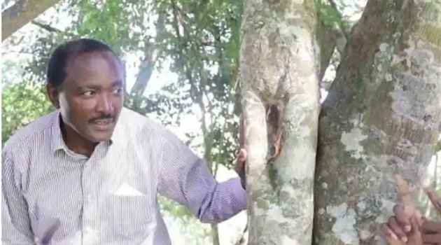 Kalonzo resurfaces after ‘house arrest’, says he feared leaving the house