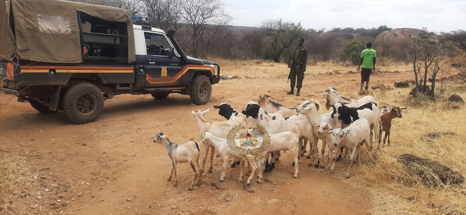 MPs Press Government as Insecurity Worsens in Isiolo