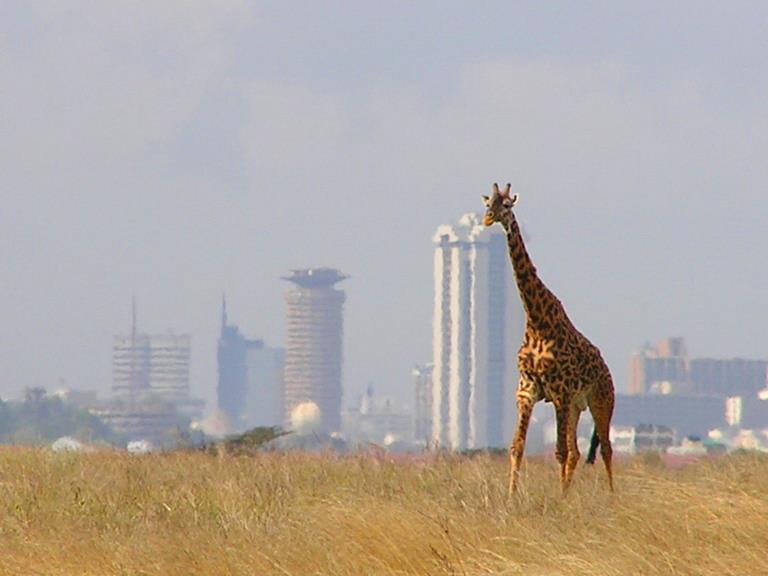 Nairobi rolls out public tours to attract tourists