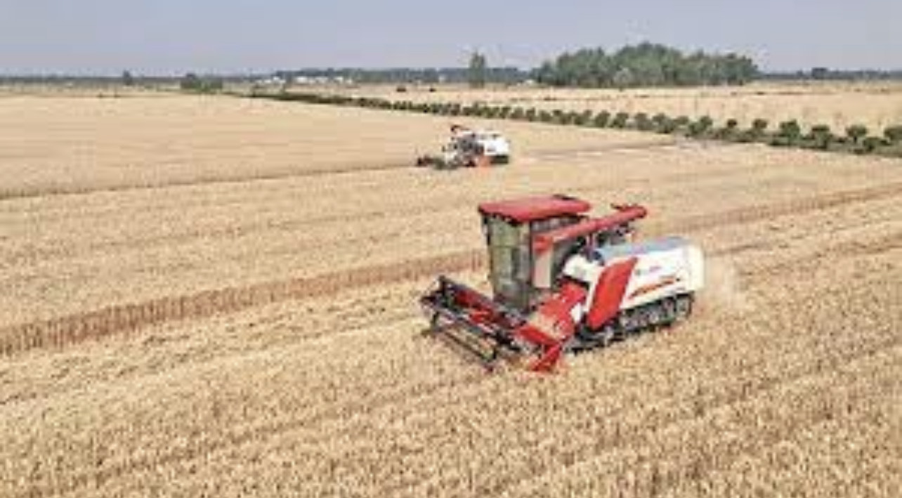 Chinese envoy calls for efforts to address root causes of food insecurity