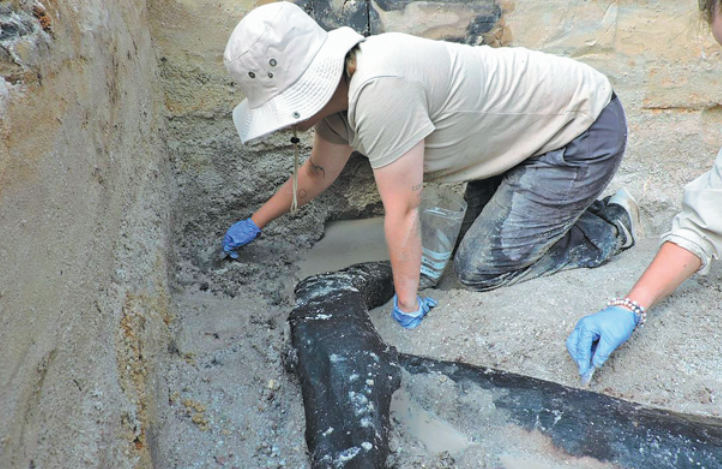 World’s oldest wooden structure discovered in Zambia