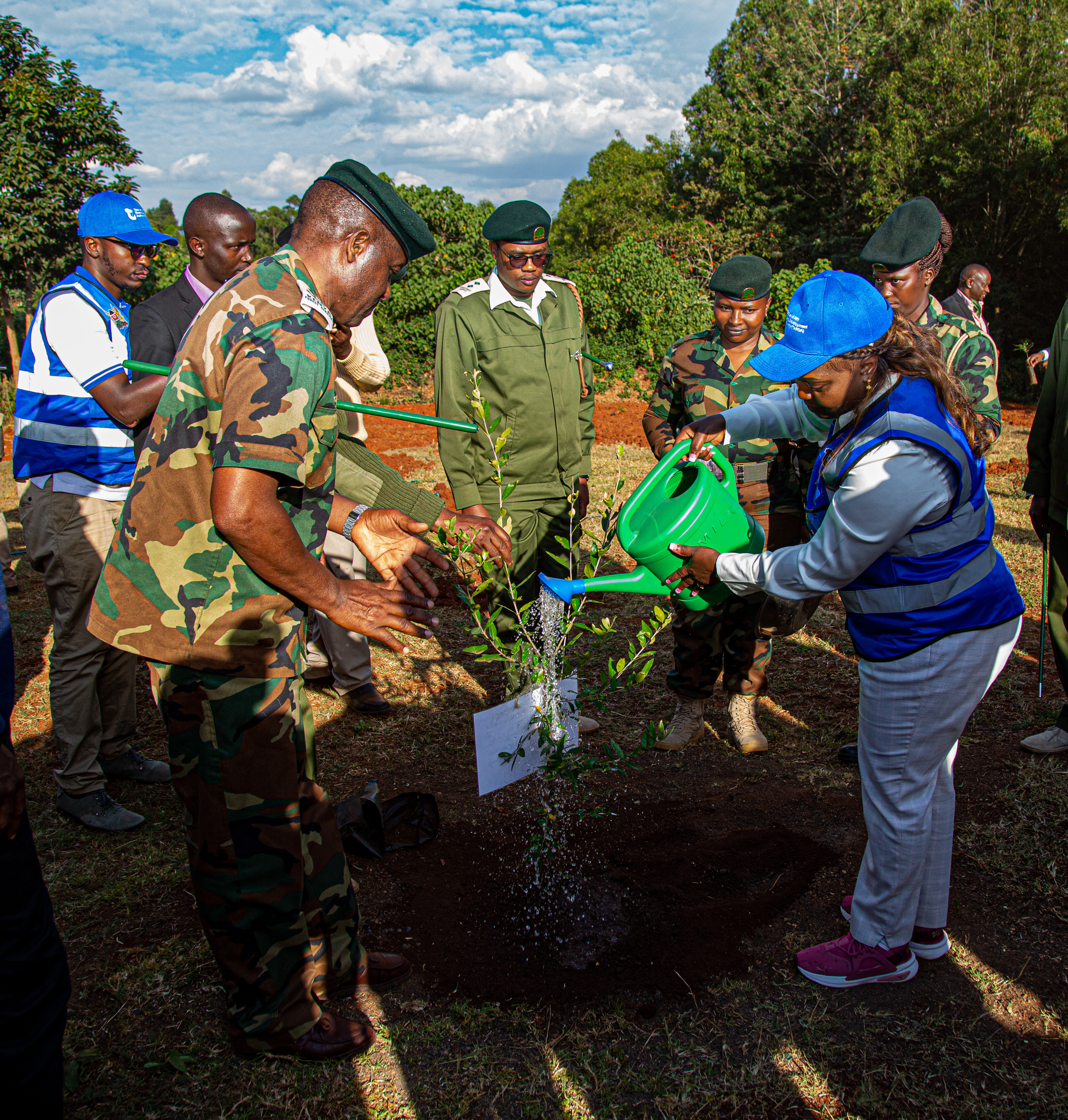 Pastor Dorcas initiates the planting of 12mn trees