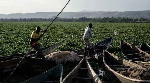 Invasive alien species are a serious threat to the planet: 4 key messages for Africa
