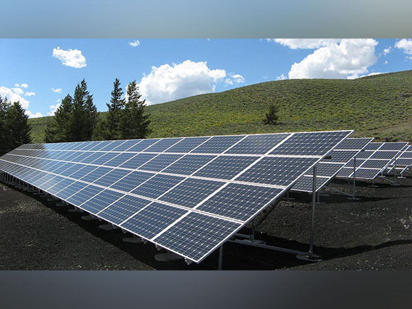 Kenya’s Wealthy Embrace Green Investments, Knight Frank Survey Shows