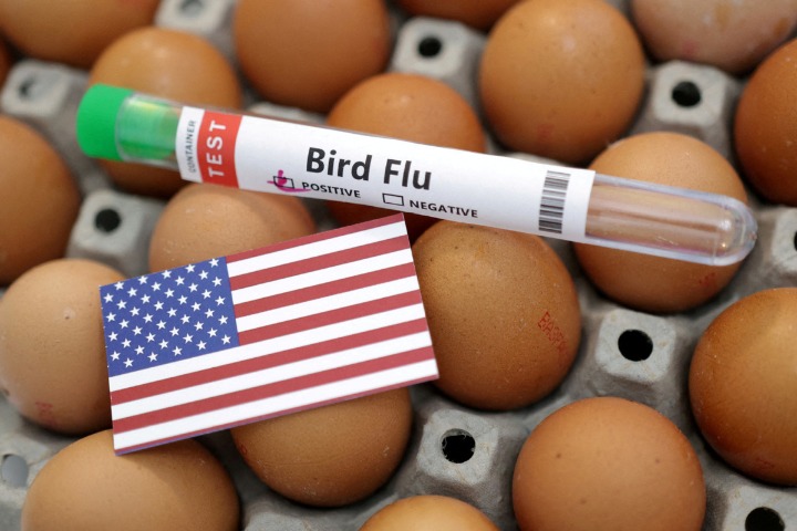 Deadly bird flu detected on farms in US Chinese Young entrepreneurs taking to world of AI – China Daily