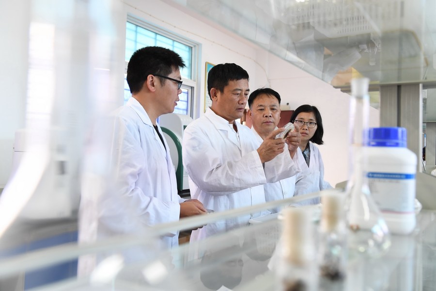 China top in world for research citations Chinese Young entrepreneurs taking to world of AI – China Daily