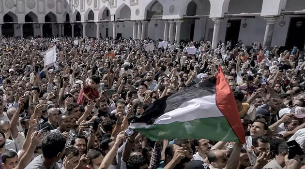 Untreated diseases could kill more than bombings in Gaza, WHO warns