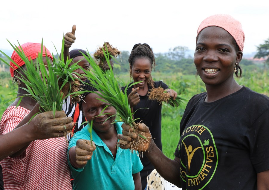 China’s agriculture modernization plan for Africa to advance growth, says Kenyan scholar