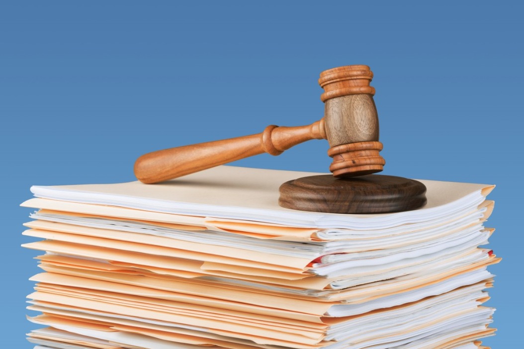 Blue book reveals China’s rule of law development -China Daily