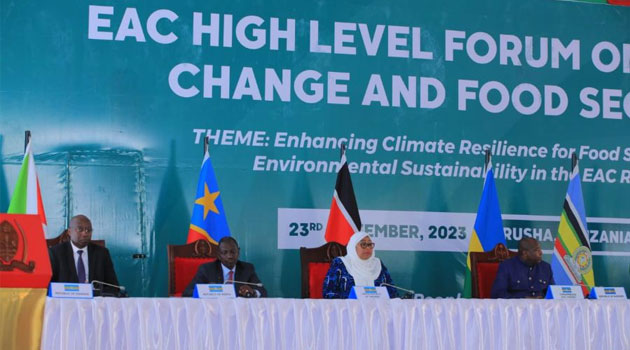 Over 67 million people food insecure in Horn of Africa as climate shocks, conflict rise