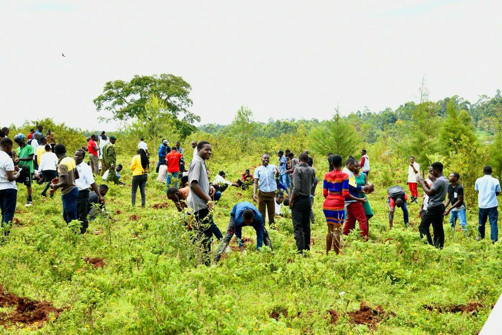 K’Onyango: Why Initiatives Like Earthtree Are Key to Kenya’s Climate Future