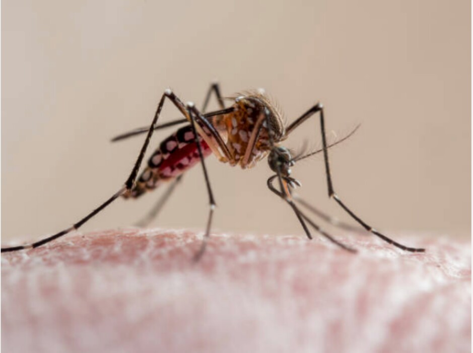 WHO prequalifies another malaria vaccine in Kenya