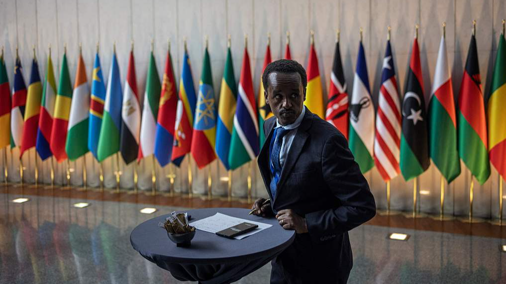 China, African countries join forces to promote global peace and development