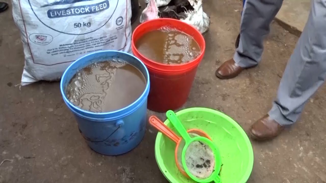 Gladys Boss pushes for strict ethanol controls amid rising illicit alcohol crisis in Kenya